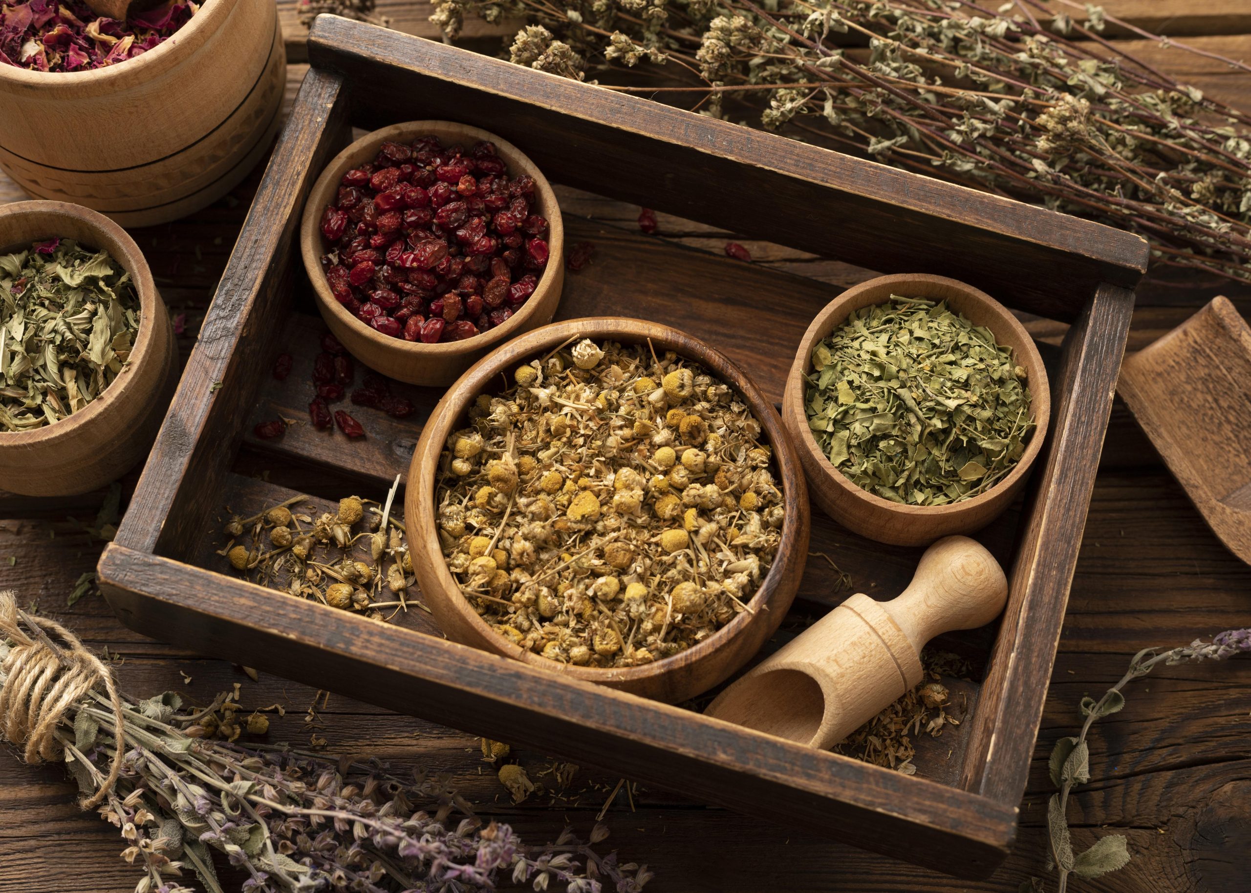 Integrating Herbal Remedies into Your Everyday Life with Apothecary